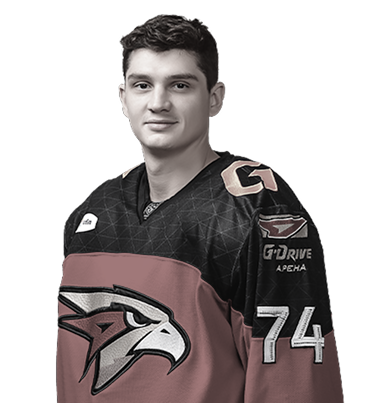 Николай Прохоркин